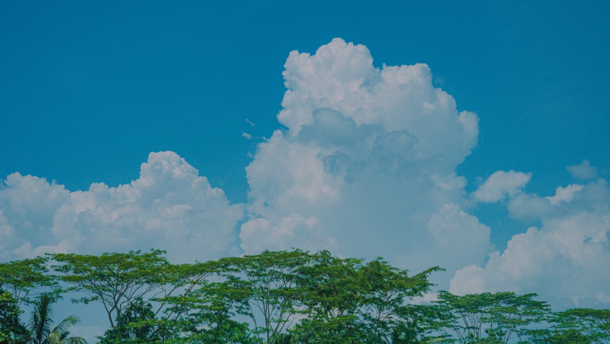 Cloud Storage Options for Nigerian Businesses